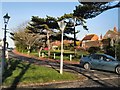 Falmer Road from The Green