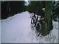 Railway in the snow