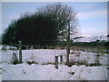 Stile on the old Railway