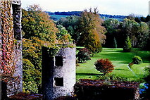 W6075 : Blarney Castle grounds - View to northeast from castle by Joseph Mischyshyn