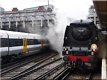 TQ2878 : Tangmere Engine at Victoria Station, London SW1 by Christine Matthews