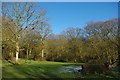 Picnic Spot in Thundersley Glen