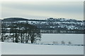 Frozen Loch of Butterstone