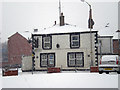 White Lion in the snow