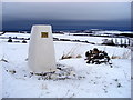 NZ6815 : Cleveland Ironstone Miners' Memorial (ex-trig point) by rodders