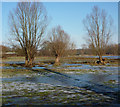 Icy meadow near The Mere