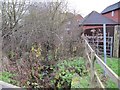 Footpath by the houses