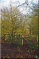 Mill Meadows Kissing Gate