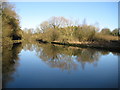 Grand Union Canal near Hunton Bridge