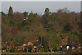 View from Belvedere Tower, Claremont Landscape Garden