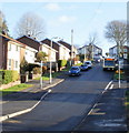 Westfield Drive bus route, Malpas, Newport