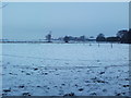 Snowy Irlam Moss