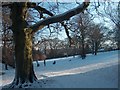 Chelsea Park, Brincliffe, Sheffield  in January Snow