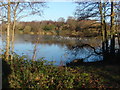 Goldsworth Park Lake