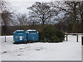 Where Christmas Trees go to be recycled, Heaton Park