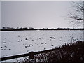 Snow-laden field near Kenton Bankfoot