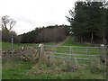 Footpath to Leafield