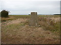 TF7242 : Trig point at Beacon Hill, Thornham by Colin Park