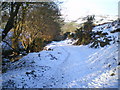 Footpath above Tan-y-foel