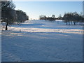 Wishaw Golf Club (4th Hole - Stey Brae)