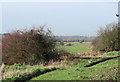 TQ6708 : Pevensey Levels south of Hooe, East Sussex by nick macneill