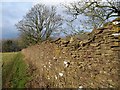 Wall, Newark Park