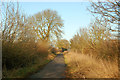 Looking north along Braunston Lane bridleway, Staverton