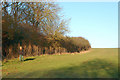 Walking on the bridleway beside Braunston Covert