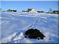 Molehill in the Snow