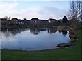 Newman Drive Pond In Church Milton Estate