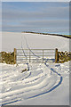 Tracks and a gate on Gala Hill