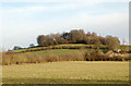 The west end of Big Hill, Staverton