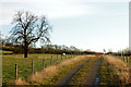 Farm track east of the A425, Staverton