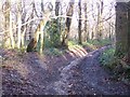 TR0953 : Bridleway in Denge Wood by David Anstiss