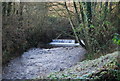 ST0440 : Weir on the Washford River by N Chadwick