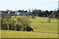 View Towards Froyle Place