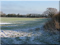 Looking NE from the corner of The Lane, Hinton Marsh