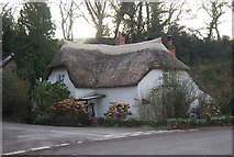ST0339 : Thatched cottage, Lower Roadwater by N Chadwick