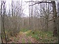 Footpath near Penny Pot Lane