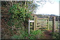 Footpath off Blindwell Lane to Lower Roadwater