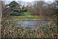 Lake in the grounds of Golsoncott House