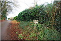 Footpaths signpost near Croydon Hall