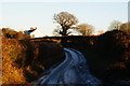 Clay Lane, Upper Froyle, Hampshire