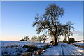 Wintry Roads near New Alyth