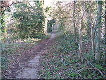 TQ1629 : Footpath that runs parallel to Tower Hill by Dave Spicer