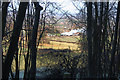 Wain Hill View towards Icknield Railway