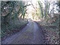 Bridleway descending to Parthings