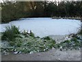 Frozen pond near Parthings