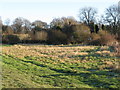 Parthings cottage surrounded by trees