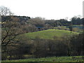 View SE to railway bridge that spans the A24